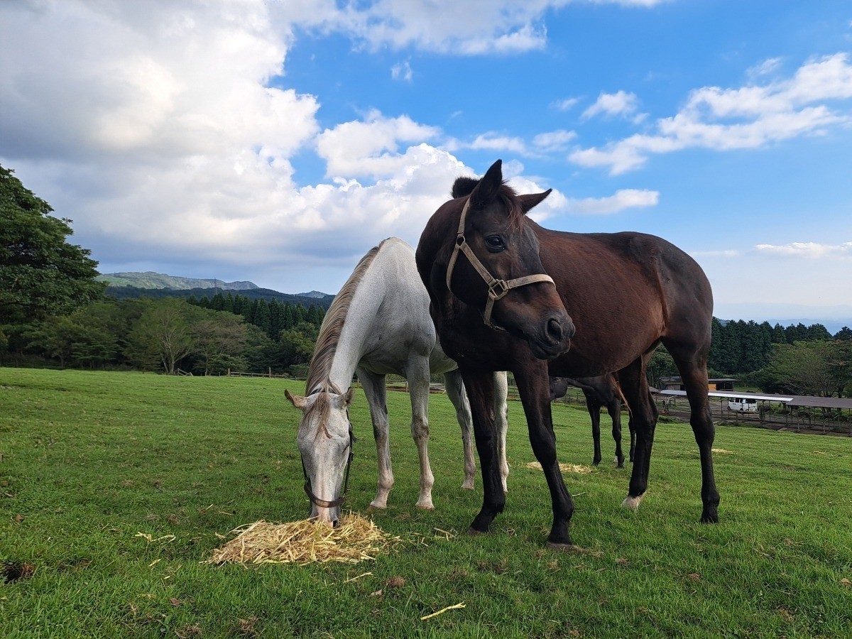 6d82bf78c92f5367508aaa2cc97b511d-1761812187.jpg 6d82bf78c92f5367508aaa2cc97b511d-1761812187.jpg